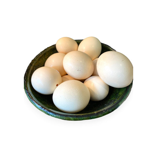 Ostrich Eggs